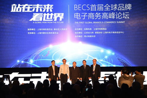 共赢未来 2016年首届全球品牌电子商务高峰论坛的启迪与突破